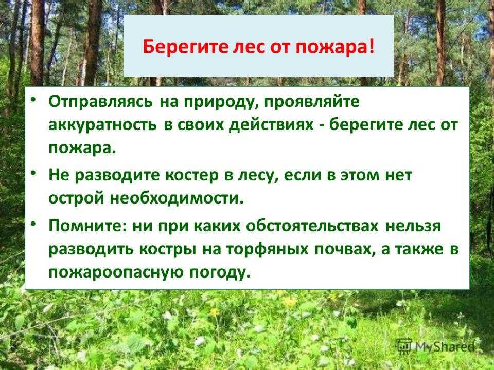Сочинение на тему евгений онегин - лишний человек 9 класс