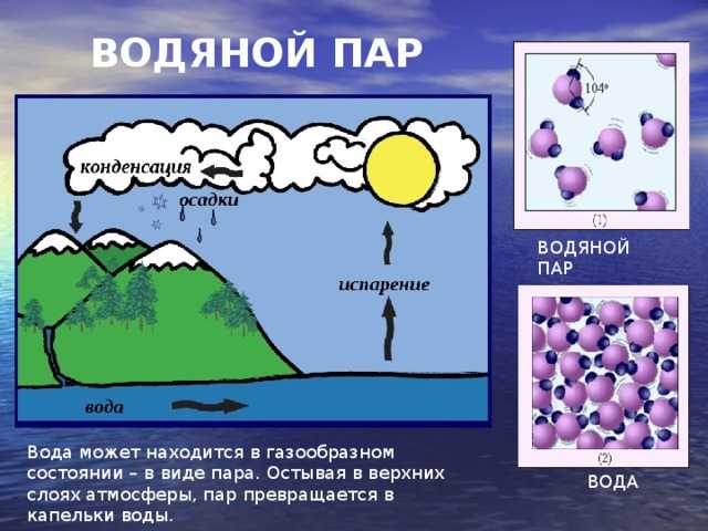 Влага в атмосфере 1 презентация 6 класс полярная звезда