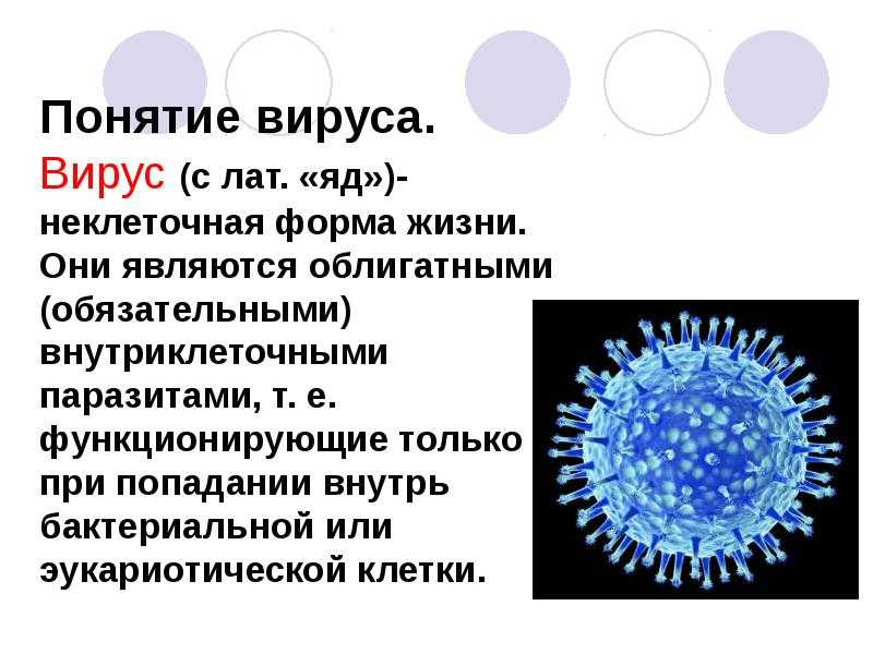 Вирусы 6 класс биология