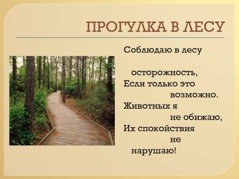 Сочинение на тему дом моей мечты