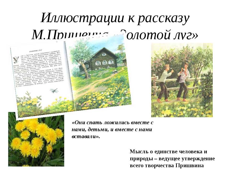 Сочинение анализ рассказа золотой петух куприна
