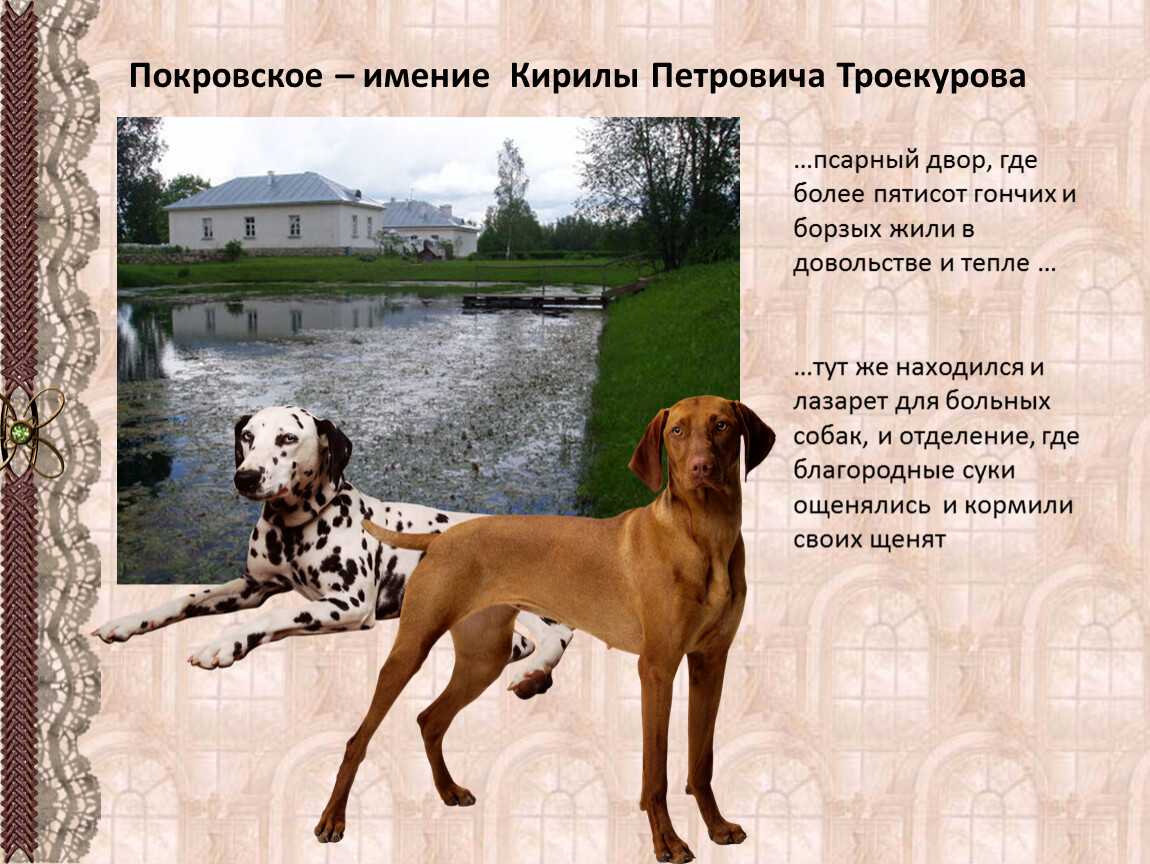 Имение троекурова и имение дубровского: описание поместий, прообразы и названия усадеб, причины конфликта