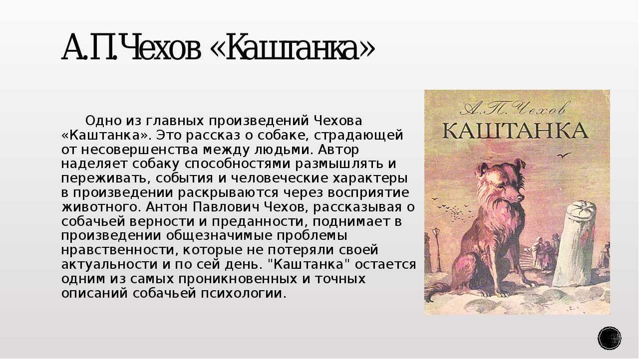 В каком году было написано произведение. А П Чехов каштанка краткий пересказ. А П Чехов каштанка краткое содержание. Краткий рассказ Чехова каштанка. Аннотация к рассказу каштанка.