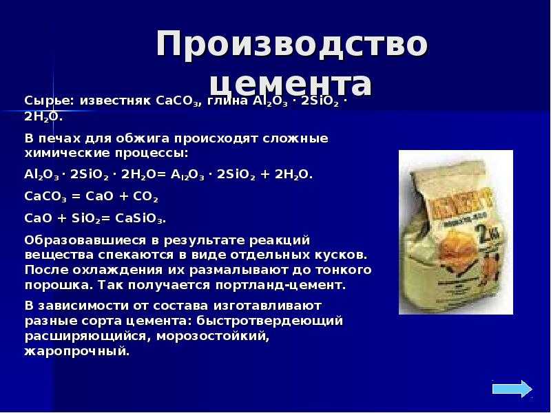 Доклад-сообщение на тему дятел