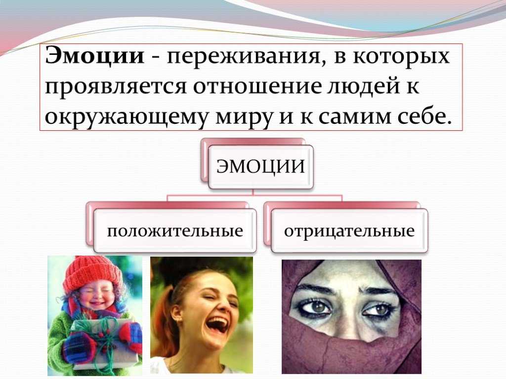 Ответы на вопрос животные леса - доклад (2, 3, 4 класс окружающий мир)