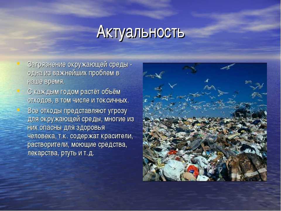 Доклад на тему экологическая безопасность сообщение