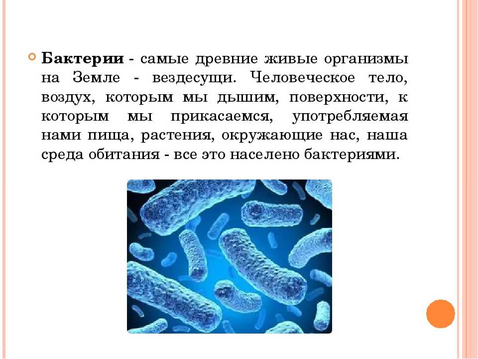 Вред приносимый бактериями