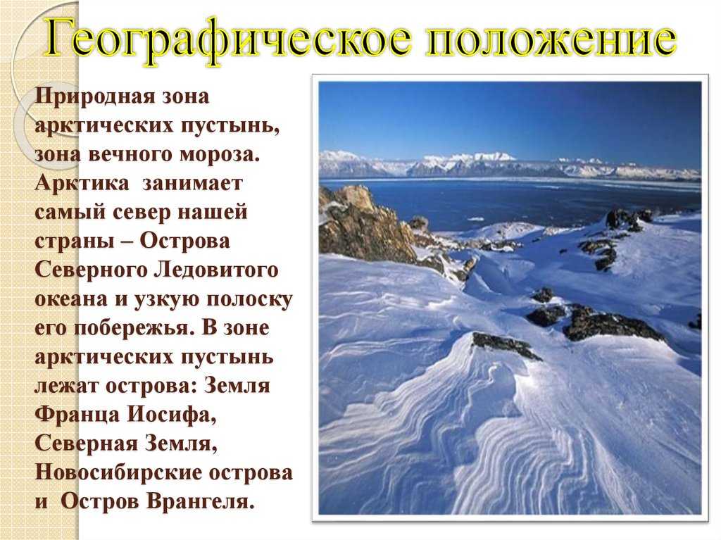 Тема - арктические моря