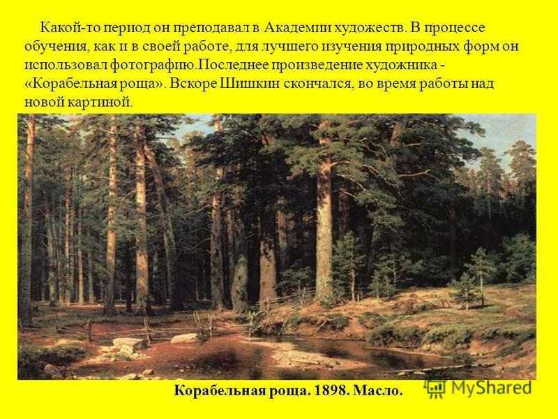 Сочинение-описание картины «дубовая роща», шишкин (2 варианта - кратко и подробно)