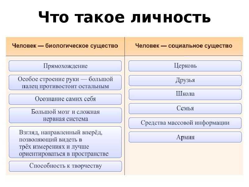 Итоговый тест по обществознанию для 6 класса