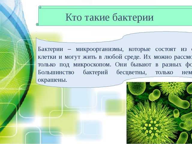 Проект микробы 3 класс