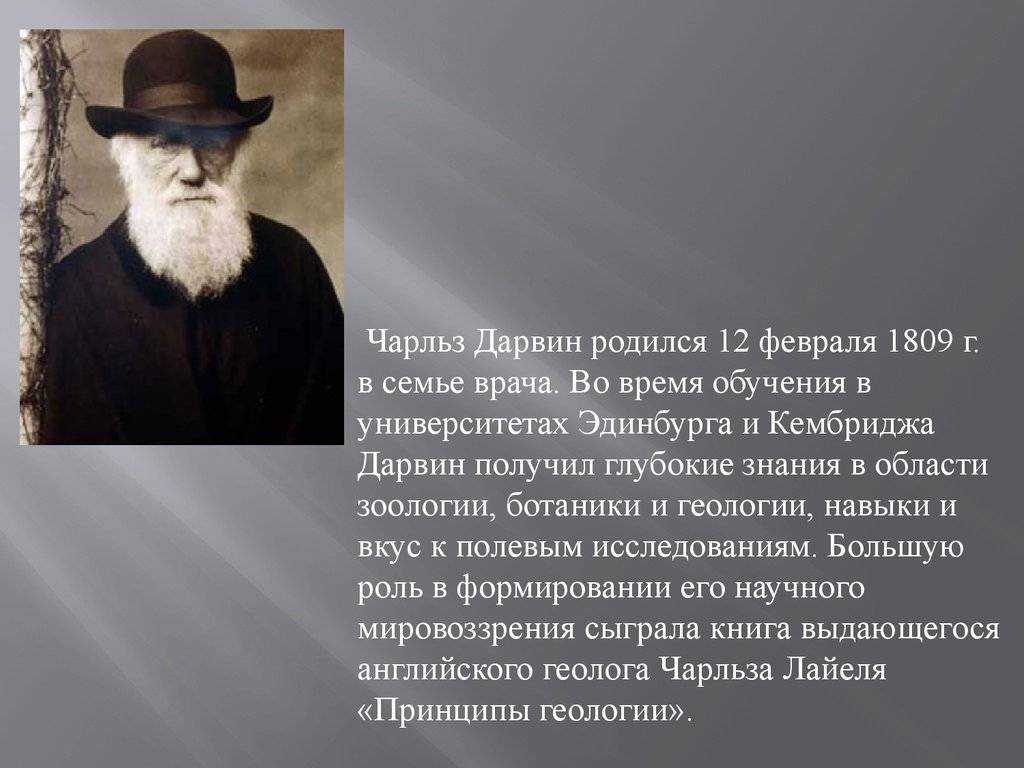 Краткая биография дарвина – достижения и вклад науку чарльза дарвина для сообщения