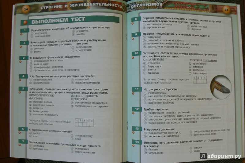 Тест по биологии жизнедеятельность организмов 6 класс