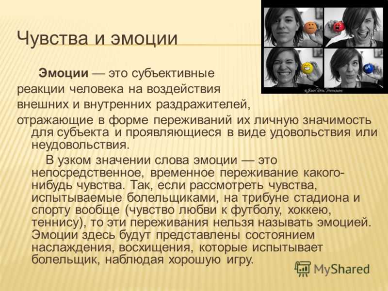 Доклад на тему жизнь леса 2, 4 класс окружающий мир сообщение