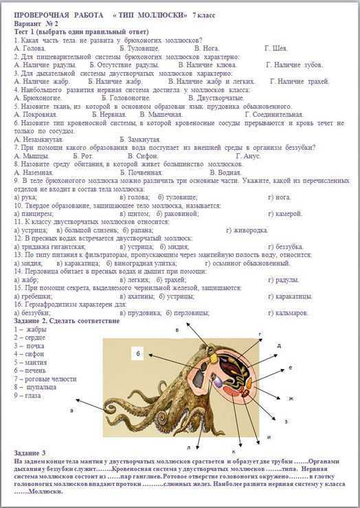 Тесты по биологии 7 класс