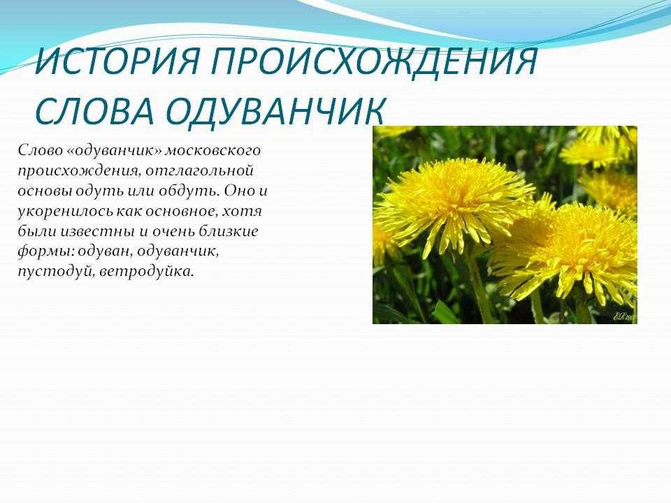 Пресмыкающиеся и земноводные