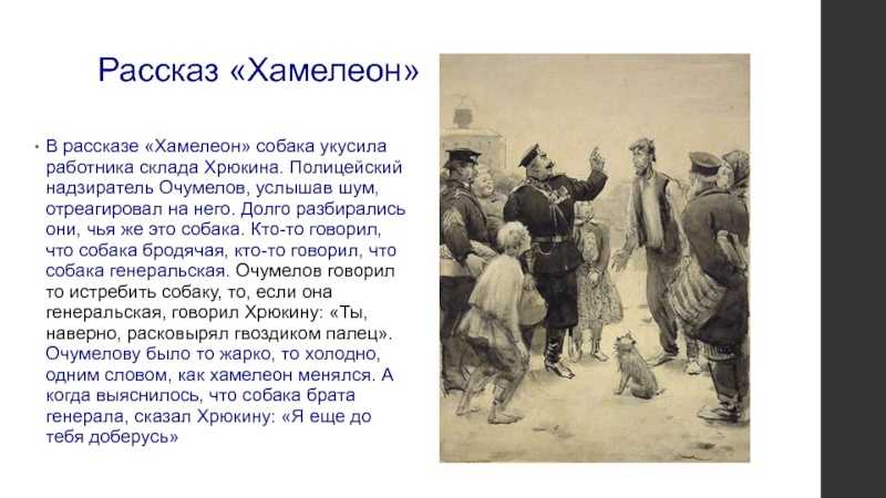 Сочинение: рассказ хамелеон — живая картина нравов (по рассказу а.п. чехова «хамелеон»)
