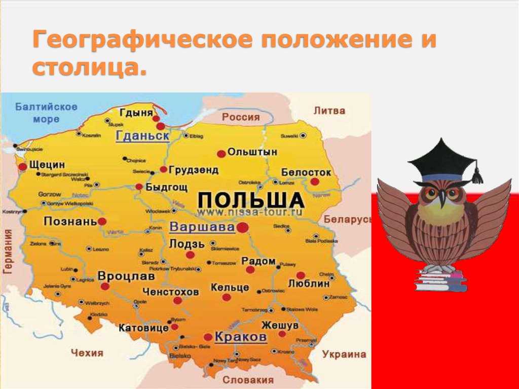 Васко да гама