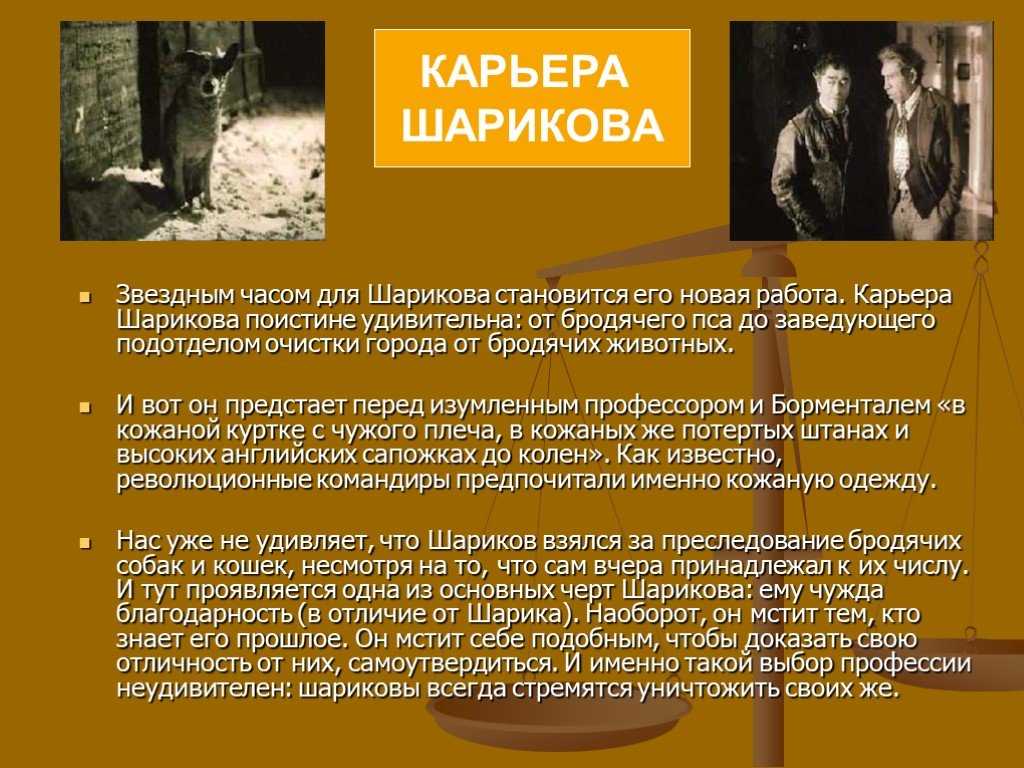 Характеристика шарикова в повести собачье сердце кратко, образ героя полиграф полиграфович с цитатами для сочинения в таблице