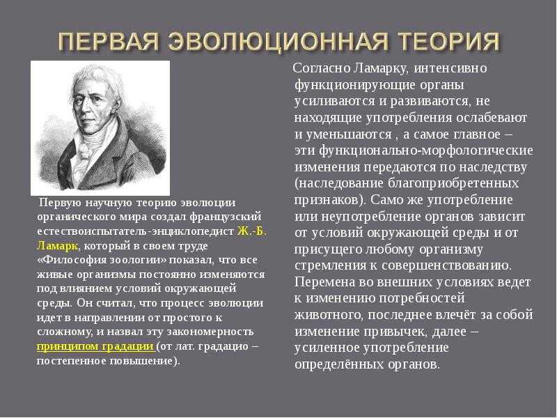 Всего 10 тестовых вопросов по теме Эволюционное учение для 7 класса, с ответами Тесты для подготовки к контрольным и зачётным работам в школе по биологии