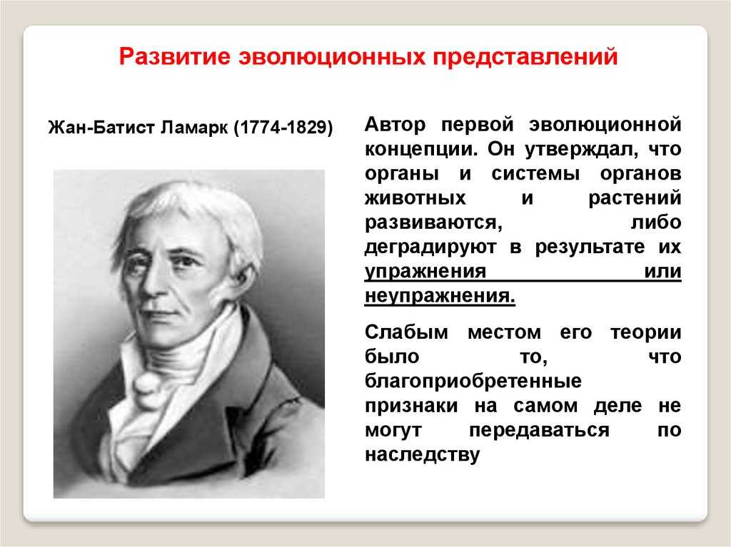 Тест по биологии для 11 класса «современное эволюционное учение» | doc4web.ru