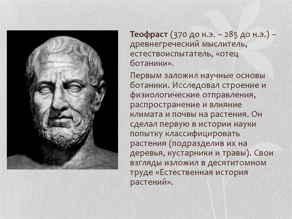 Отец философии аристотель