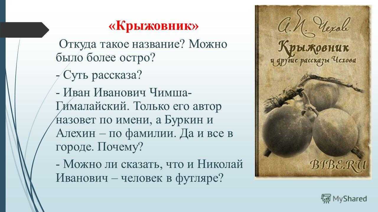 Жизнь и творчество чехова кратко – особенности для сочинения по теме