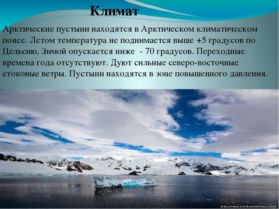 Какой климат характерен для россии — арктический, субарктический, умеренный и субтропический