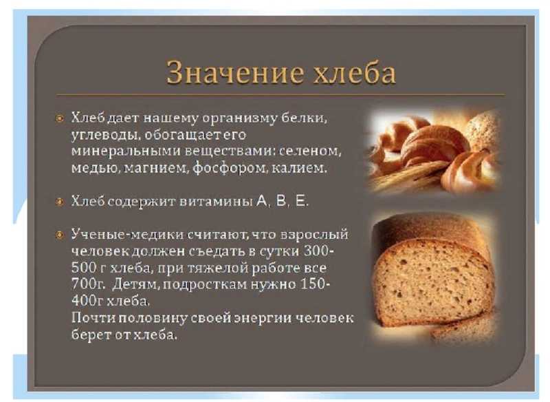 Сочинение на тему хлеб всему голова 5 класс русский язык