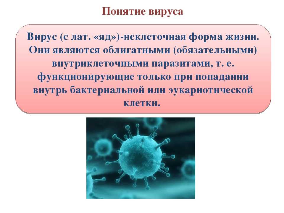 Вирусы - сообщение доклад по биологии 5, 9 класс