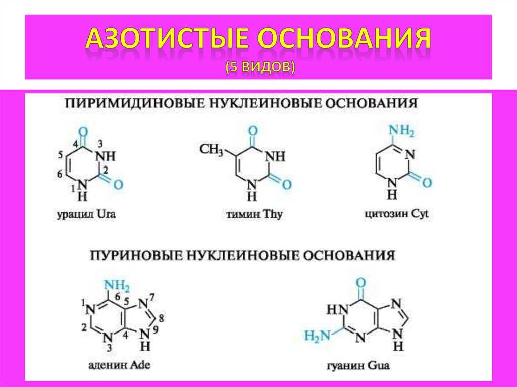 Тесты по биологии (9 класс) с ответами онлайн для подготовки к итоговой контрольной работе
