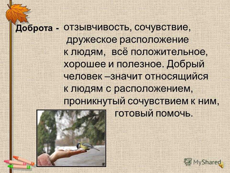 Сочинение на тему: «что такое отзывчивость?» - примеры с аргументами