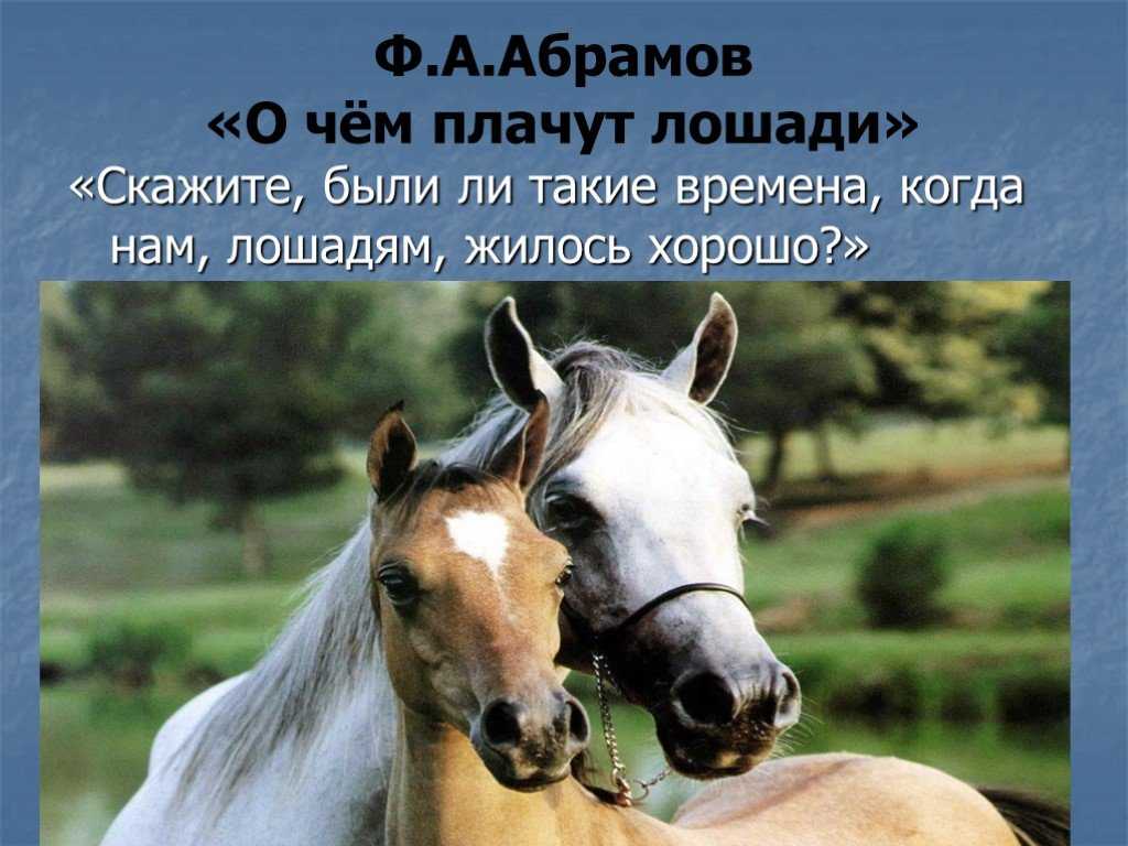 Абрамов о чем плачут лошади читать полностью. О чем плачут лошади. Высказывания о лошадях. Ф.Абрамов о чем плачут лошади. Ф. Абрамова "о чём плачут лошади".