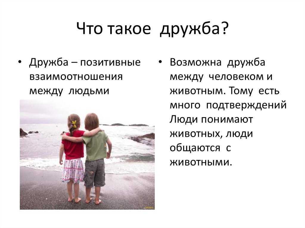 История о настоящей дружбе. Дружба. Дру. Дружба это определение. С др.