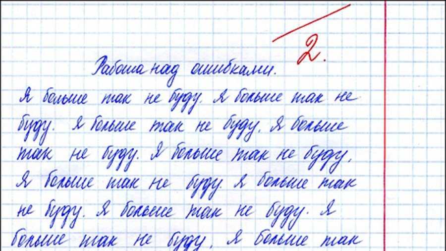 Пингвины: где обитают и чем питаются птицы, интересные факты