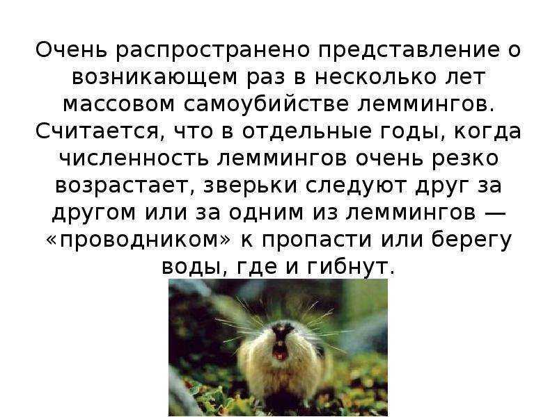 Человек профессии спелеолог чем он занимается в рабочие будни