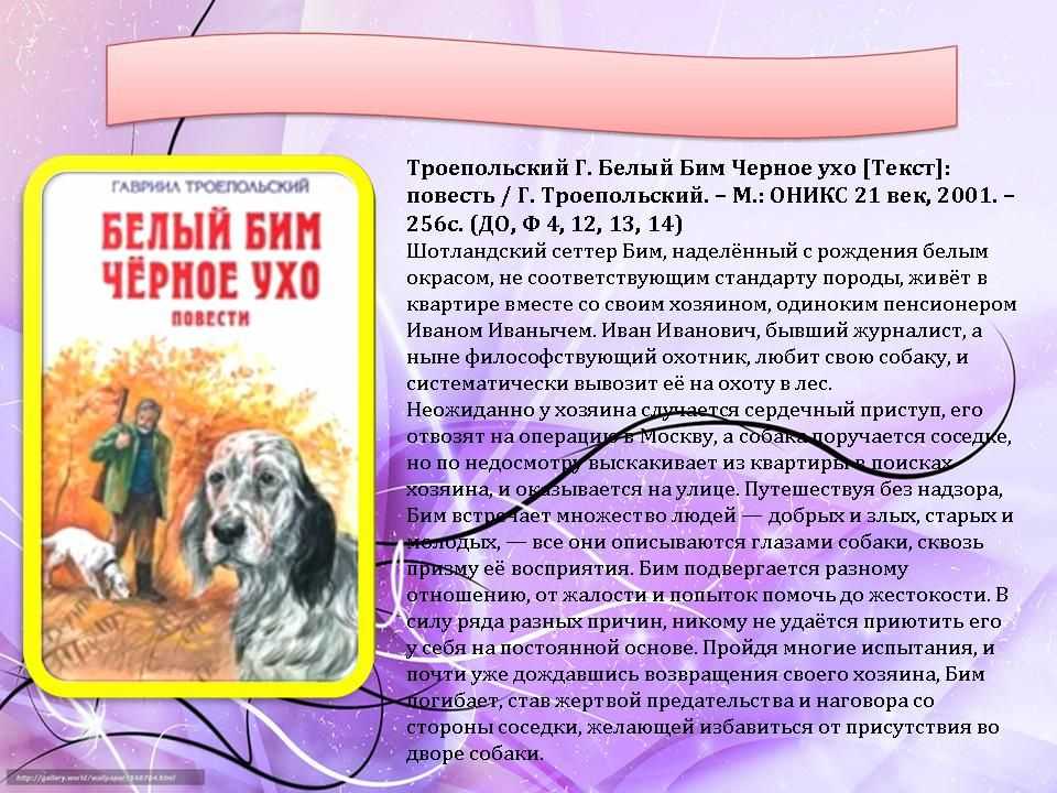 Сочинение «белый бим черное ухо»