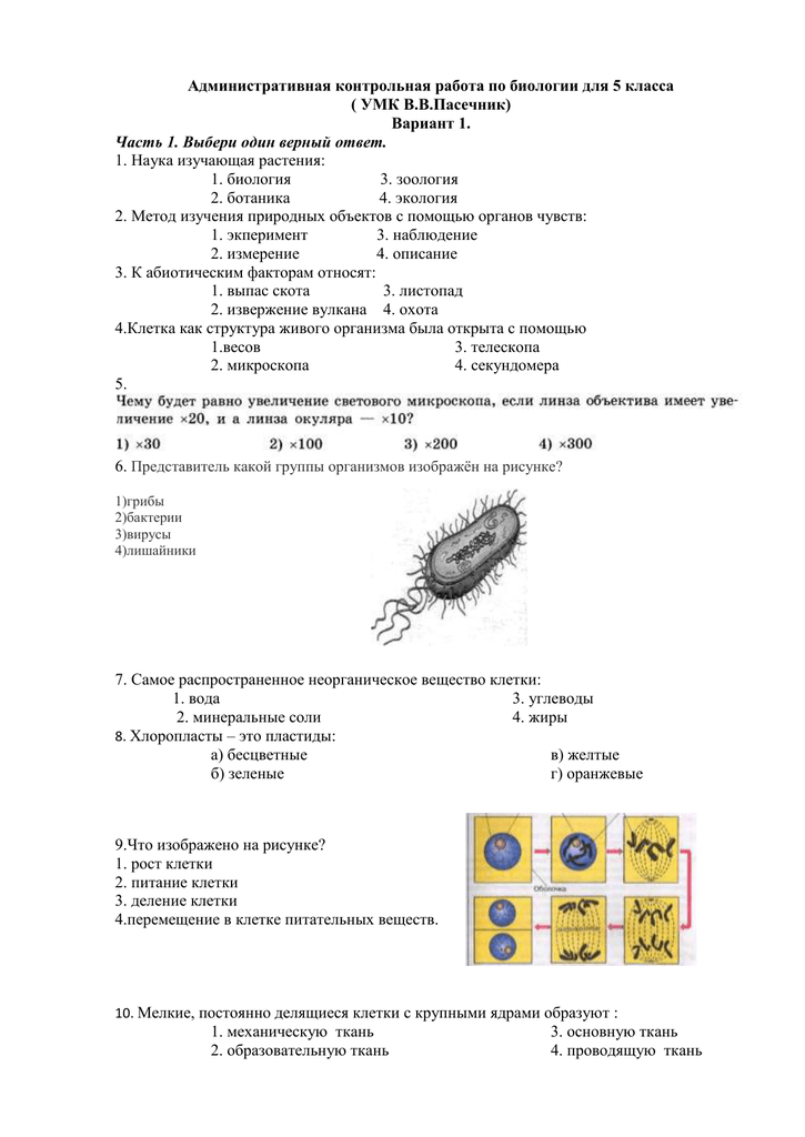 Тест по биологии: экосистема (пасечник, 7 класс) - pibarum.ru