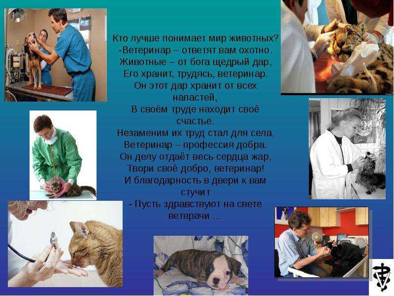Методы лабораторной диагностики инфекционных заболеваний животных – научные статьи о ветеринарии животных