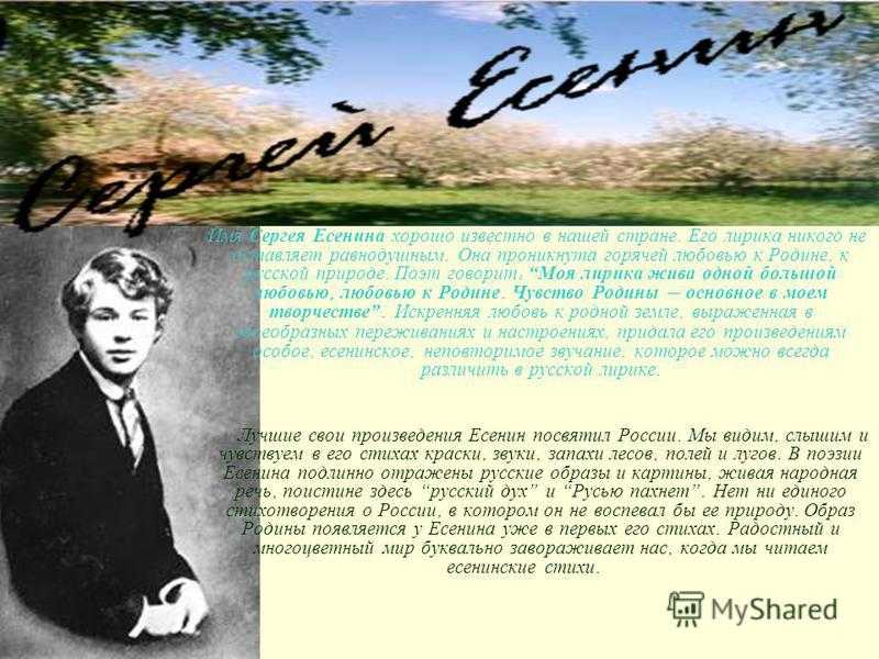 Анализ стихотворения на стоге сена ночью южной фета