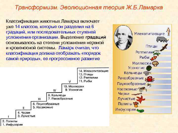 Тесты по биологии 7 класс