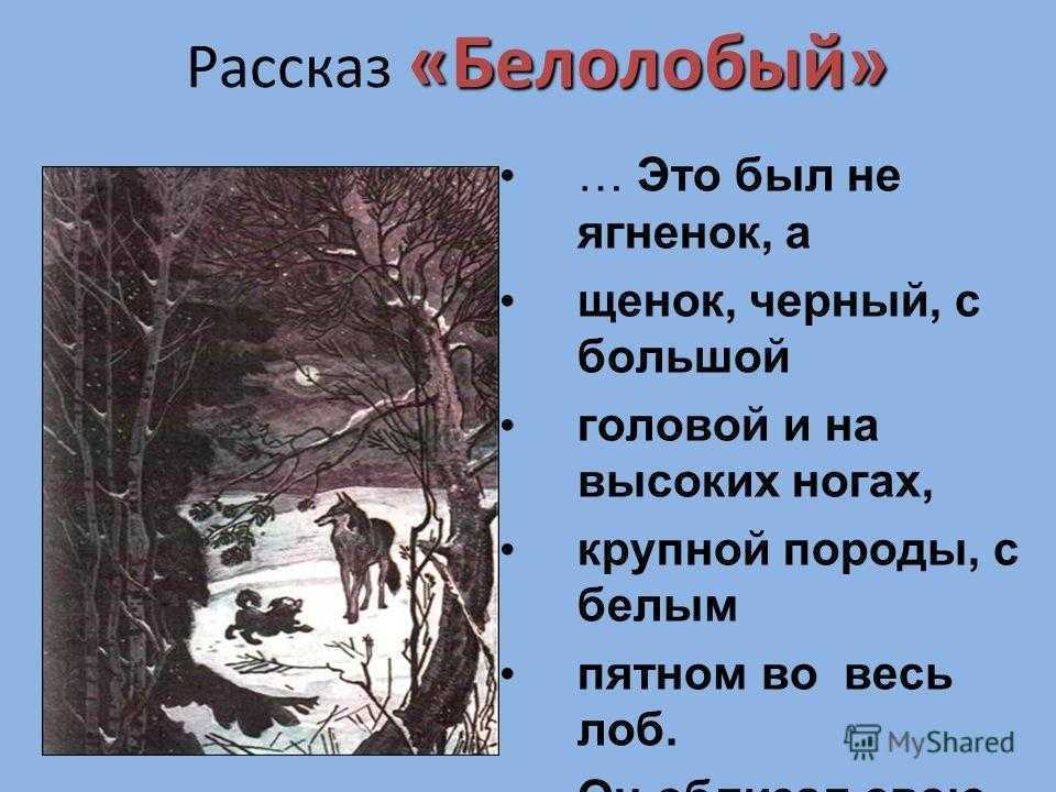 Сочинение на тему: моя любимая одежда (2 варианта и 5 похожих топиков)