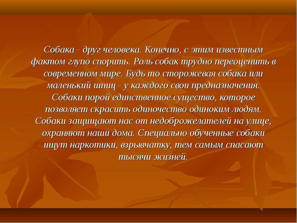 Животное собака: описание и повадки собак