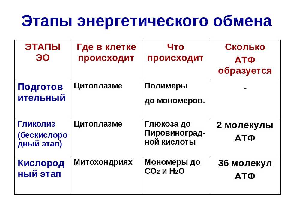 Тесты по биологии - биология, 5-9 классы, 100 заданий