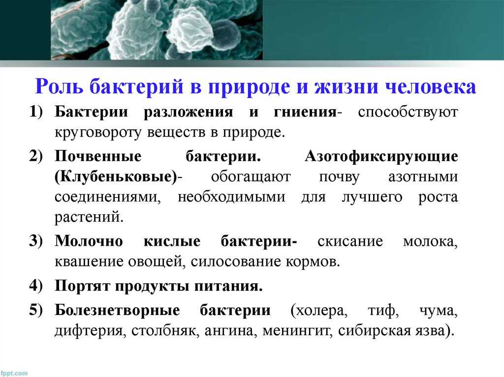 Бесплатные онлайн тесты для 5 класса, скачать с ответами