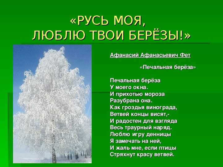 Тютчев печальная береза. сравнительный анализ стихотворений а