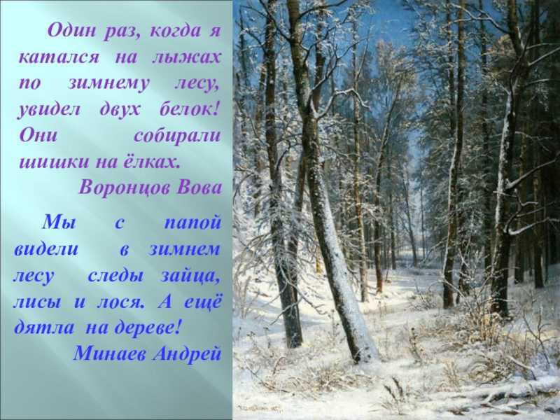 Рассказ «краски зимнего леса» сочинить 4-5 предложений, 2 класс ,пожалуйста
