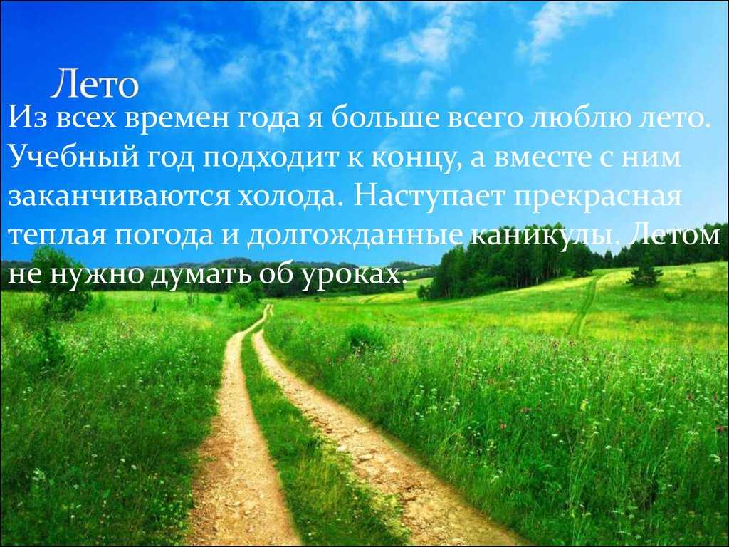 Сочинение на тему как я провел лето (8 вариантов)