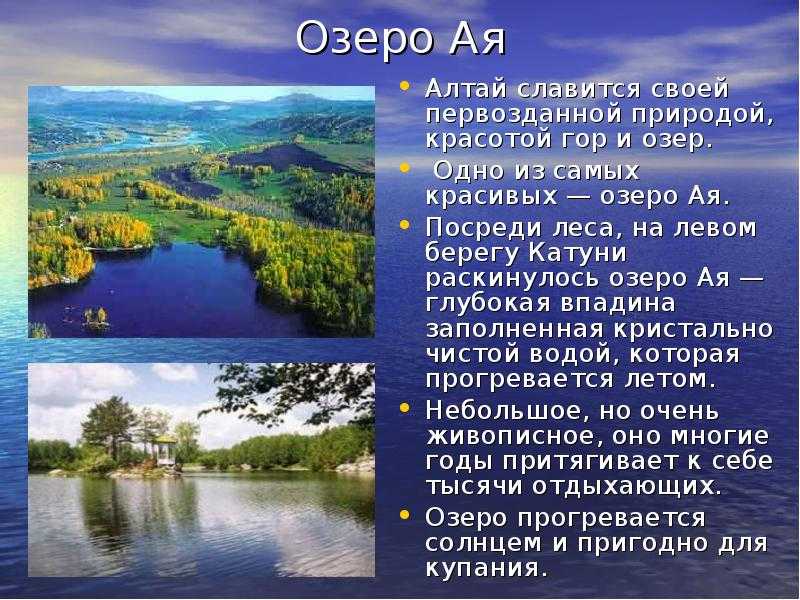Доклад на тему верблюд 4 класс (виды, где живут, чем питаются) сообщение
