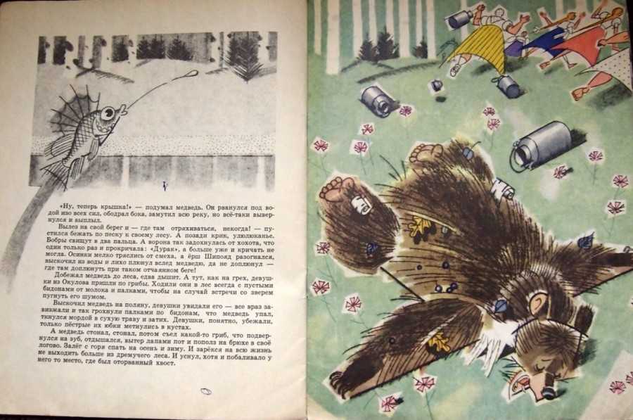 К.г.паустовский «дремучий медведь». краткое содержание сказки